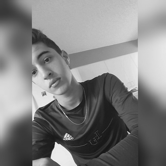 Meet your Posher, Daniel - Picture 1 of 1